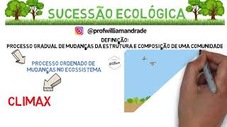 Direito Civil  Aula 24  Ausência  Sucessão Provisória  Art 26 a 36 do Código Civil [upl. by May806]