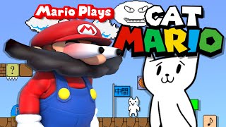 Mario Plays CAT MARIOOOO [upl. by Ttik470]