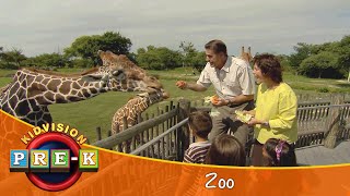 Zoo  Virtual Field Trip  KidVision PreK [upl. by Nibla]