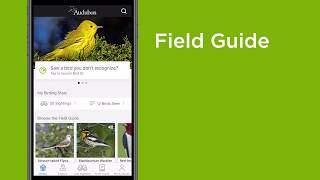 How to use the Audubon Bird Guide app [upl. by Alil]