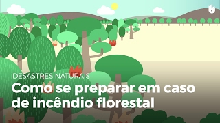 Como se preparar em caso de incêndio florestal  Desastres naturais [upl. by Aleakam]