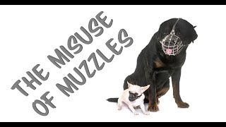 The misuse of muzzles in dog training [upl. by Htrahddis]