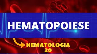 HEMATOPOIESE  HEMATOLOGIA  AULA 20 [upl. by Orlina]