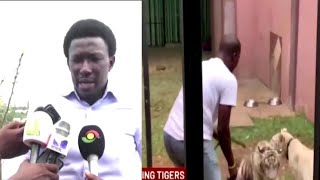 Nana Kwame Bediako speaks about his tigers [upl. by Enylhsa181]