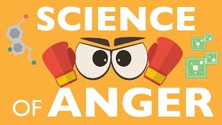 THE SCIENCE OF ANGER [upl. by Lachus]