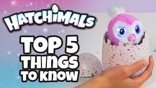 Hatchimals  Top 5 Things You Need To Know About Hatchimals [upl. by Suolekcin641]