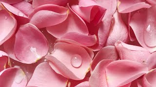 Eau de rose du jardin diy à faire soi même avec des pétales de roses très facile à faire [upl. by Yetnruoc]