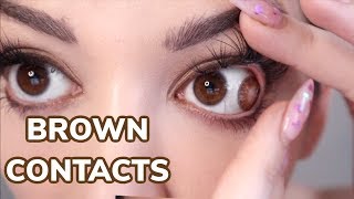 Brown Contact Lenses  Brown amp Honey Freshlook Colorblends [upl. by Haiasi]