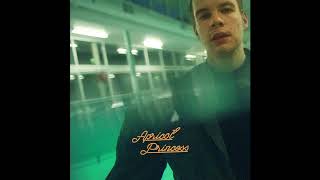 Rex Orange County  Happiness Official Audio [upl. by Don]