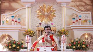 വിശുദ്ധ കുർബാന Holy Mass Malayalam Syro Malabar  FrNaveen Ukken  8281557326 Munippara church [upl. by Airdnazxela]