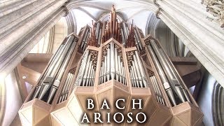 JS BACH  ARIOSO  THE ORGAN OF ST LAMBERTI MÜNSTER GERMANY  JONATHAN SCOTT [upl. by Weihs]