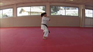 Heian Godan  Karate Training Sonia Fiuza [upl. by Annaihr]