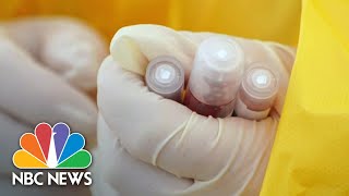 FDA authorizes use of antimalarial drugs for coronavirus treatment  NBC Nightly News [upl. by Hoxie347]