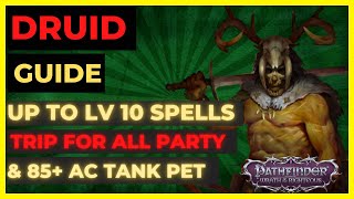 PF WOTR ENHANCED  DRUID Guide LV10 SPELLS PARTY WIDE TRIP amp Tank PET [upl. by Yantruoc556]