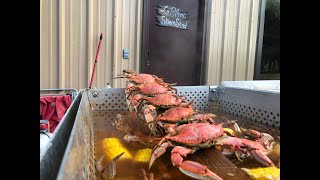 How to Boil Blue Crabs Louisiana Style [upl. by Jordanna]