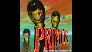 Primus  Wynonas Big Brown Beaver Lyrics in Description [upl. by Nnaesor417]