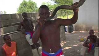 Vuvuzela African Horn  Fantastic Sound [upl. by Barren]