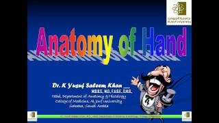 Anatomy of the Hand  Dr Yusuf [upl. by Ezitram840]