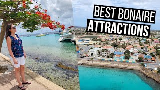 Bonaire Travel Guide  The Best Things to See and Do in Bonaire [upl. by Assilym]