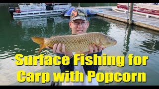 Surface fishing for carp with popcorn at Smith Mountain Lake [upl. by Ieluuk]