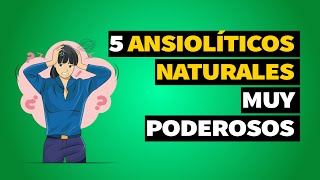 Los 5 ANSIOLÍTICOS NATURALES más poderos [upl. by Ahsitnauq]