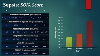 Sepsis Sequential Organ Failure Assessment SOFA Score [upl. by Sarge]