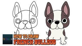 How to Draw French Bulldog  Art Tutorial Easy Step by Step [upl. by Jeremie]