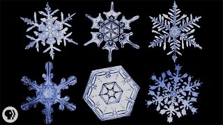 The Science of Snowflakes [upl. by Bernete]