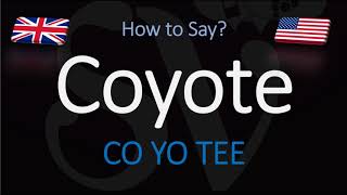 How to Pronounce Coyote  English American Pronunciation [upl. by Ronile]