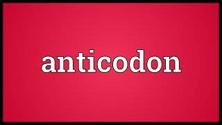 Anticodon Meaning [upl. by Pegeen]