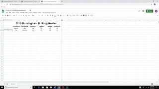 Google Sheets  Team Roster [upl. by Ahsenahs]