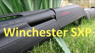 Winchester SXP  Full Review [upl. by Bradman]