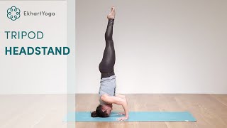 Tripod Headstand Tutorial with Anna Sugarman [upl. by Ikairik310]