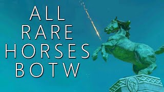 All Rare Horses amp Where to Find Them BOTW [upl. by Nisior]