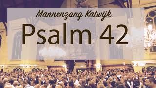 Psalm 42  Meest gevraagde Psalm [upl. by Ollopa]