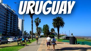 5 Lugares Hermosos Para Visitar En URUGUAY [upl. by Nady]