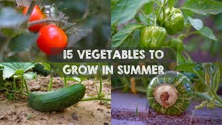 15 Vegetables amp Herbs You MUST Grow in SUMMER [upl. by Rehoptsirhc]