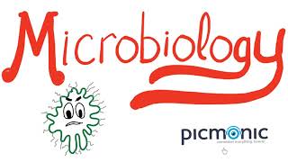 Microbiology Part 1 Introduction  Actinomyces israeli Listeria Diphtheria Nocardia  Picmonic [upl. by Trina]