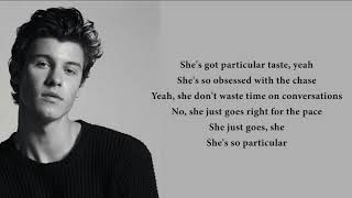 Shawn Mendes  Particular Taste lyrics [upl. by Sire]