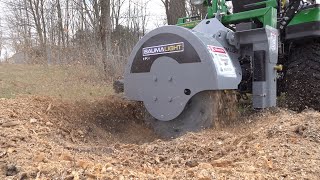 New Stump Grinder Low Cost Lets Try It [upl. by Faber748]