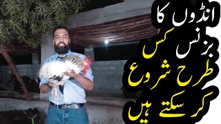 Small Chicken Hatchery Business Idea  Azad Chaiwala [upl. by Secunda]