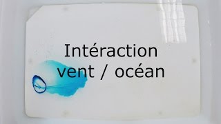 Intéraction vent  océan [upl. by Grekin]