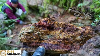 Finding Multiple Gold Bearing Veins amp Vuggy Mineralized Quartz [upl. by Fitzgerald520]