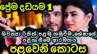 ප්‍රේම දඩයම 1 පළවෙනි කොටසPrema dadayama 1 episode 1 [upl. by Einahpts]