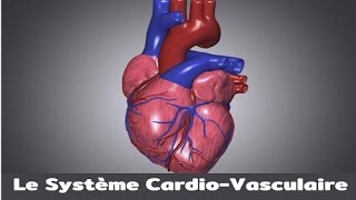 Le système cardiovasculaire [upl. by Vlad]