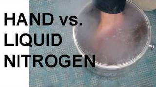 Hand vs Liquid Nitrogen and the Leidenfrost Effect [upl. by Oilisab833]