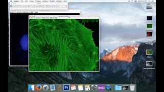 Tute2 Basic Image Processing for Colour Images in ImageJ [upl. by Gupta60]