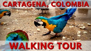 Cartagena Colombia Cruise Port Walking Tour [upl. by Cirdahc]