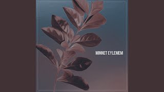 Minnet Eylemem [upl. by Atled128]