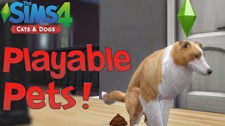 The Sims 4 Cats amp Dogs Playable Pets Mod Showcase [upl. by Flieger531]